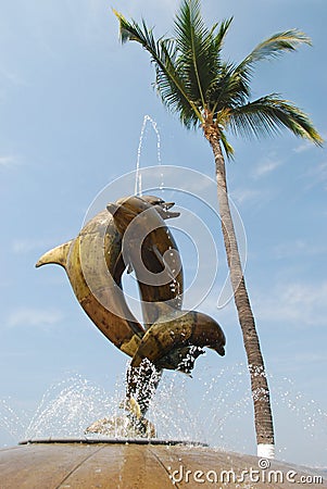 Three Dolphins in Puerto Vallarta Stock Photo