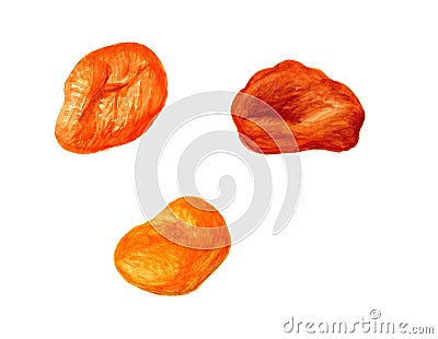 Three dried apricots Stock Photo