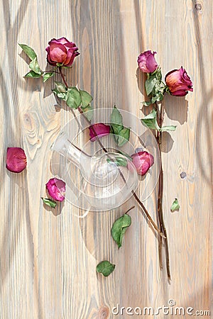 Three dried red roses, scattered flower petals, green leaves, glass vase on wooden background top view close up Stock Photo