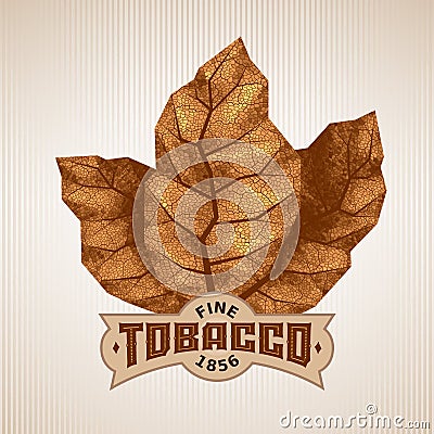 Three dry tobacco leaves with label Vector Illustration