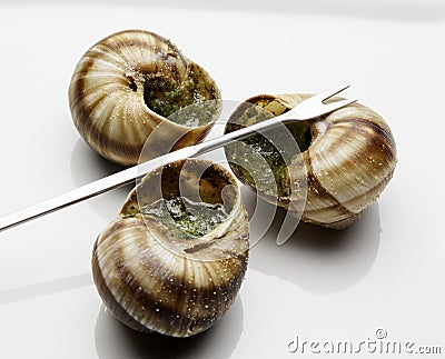 Escargot Stock Photo