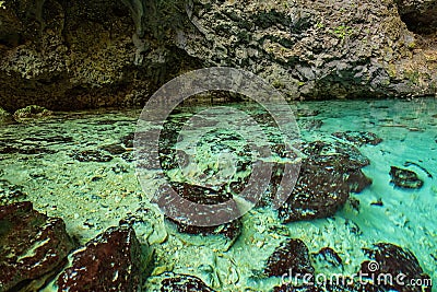 Three eyes cave in Santo Domingo, los Tres Ojos national park, Dominican Republic. Outdoor travel background Stock Photo