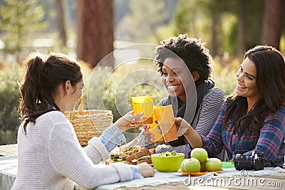 Three female friends at a picnic table making a toast Stock Photo