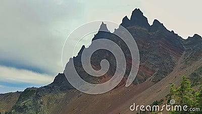 Three fingered jack in oregon Stock Photo