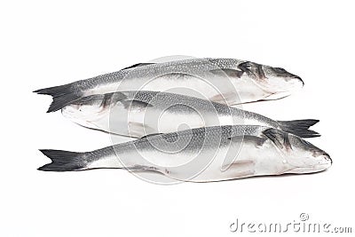 Three fresh sea bass on a light background Stock Photo