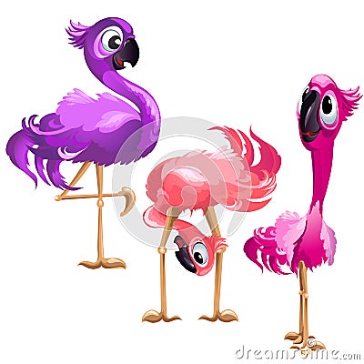 Three funny Flamingo isolated on white background. Vector cartoon close-up illustration. Vector Illustration