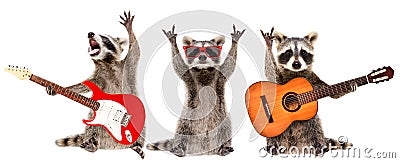 Three funny raccoons musicians standing with guitars Stock Photo