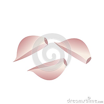 Three garlic cloves isolated on white background. Raw garlic pieces top view. Garlic icon. Vector Illustration