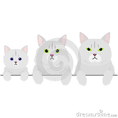 Three generations of long hair cats border Vector Illustration