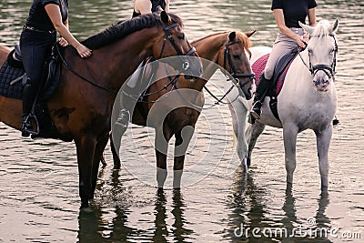 Three girls horseback riding across the river during sunset Stock Photo