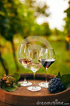 Three glasses of wine on an wooden barrel Stock Photo