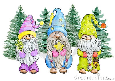 Three Gnomes in Christmas forest with spruce, star and flashlight. Little gnomes in funny hats. Cute elves for New year greetings Stock Photo