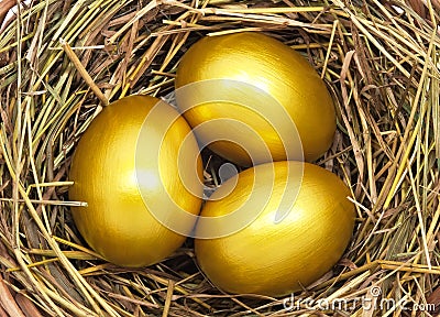 Three golden eggs Stock Photo