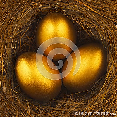 THREE GOLDEN EGGS IN BIRDS NEST Stock Photo