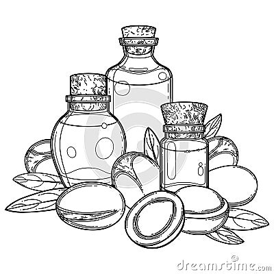 Three graphic oil bottles surrounded by argan plants Vector Illustration