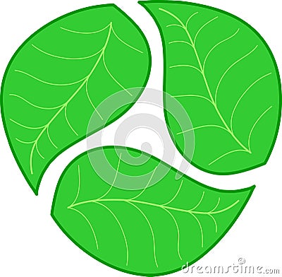 Three green leaves Vector Illustration