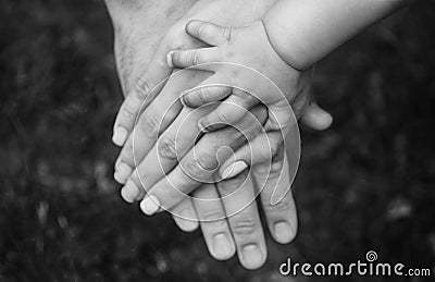 Three hands of the same family - father, mother and baby stay together. Stock Photo