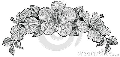 Three hibiscus flower bouquet Vector Illustration