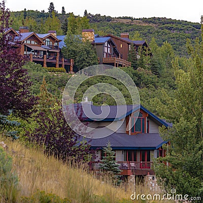 Three homes in the hills among the trees square Stock Photo