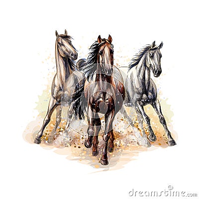 Three horses run gallop from a splash of watercolor, hand drawn sketch Vector Illustration