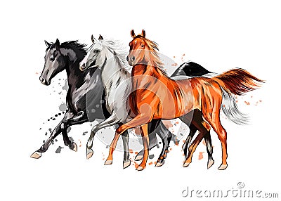 Three horses run gallop from a splash of watercolor, hand drawn sketch Vector Illustration