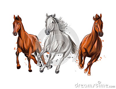 Three horses run gallop from splash of watercolors, colored drawing, realistic Vector Illustration