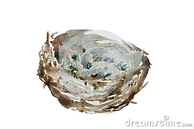 Three small baby birds in the nest isolated on white background. Watercolor illustration of wild bird life Cartoon Illustration