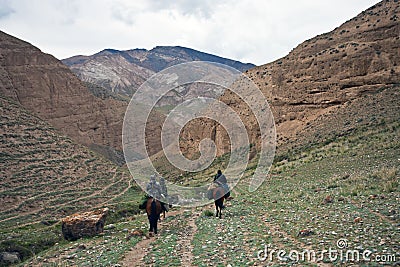 Three hunters on horse back with a mountain hunting Stock Photo