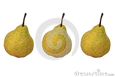 Three identical pears with a stalk side by side in a row on a white background Stock Photo