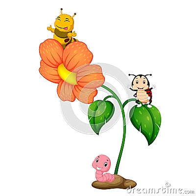 Three insect over flower Vector Illustration