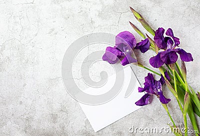 Three iris flowers and pure white carpet are on a gray marble background. Stock Photo