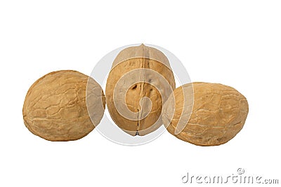 Three isolated walnuts on a white background Stock Photo