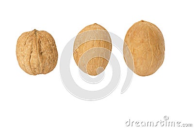 Three isolated walnuts on a white background Stock Photo