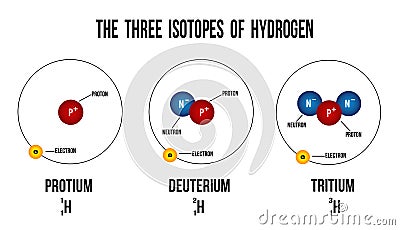 The three isotopes of hydrogen Vector Illustration