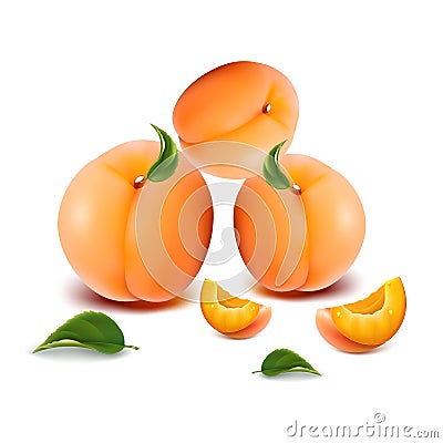 Three juicy apricots with slices, on a white background. Vector Illustration