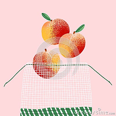 Three juicy nectarines in eco friendly bag Vector Illustration