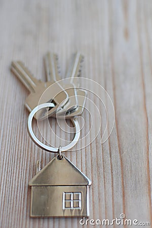Three keys in key chain Stock Photo