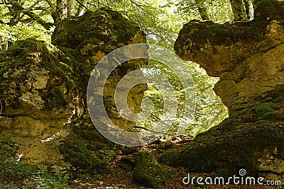 three large giants in the enchanted forest surrounded by green vegetation Stock Photo