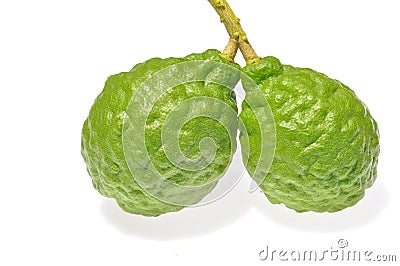 Three leech lime fruits Stock Photo