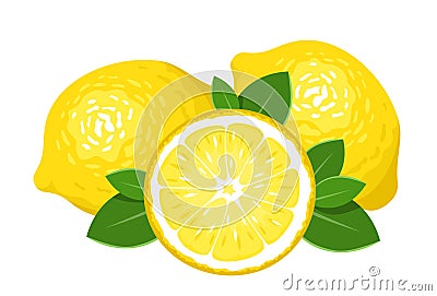 Three lemons isolated on white. Vector Illustration
