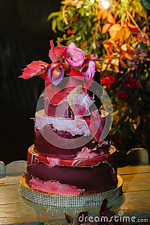 Three-level cake decorated with zantedeschian flower, red leaves and red `falling off` icing Stock Photo