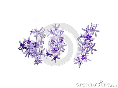 Three lilac flower branches Stock Photo