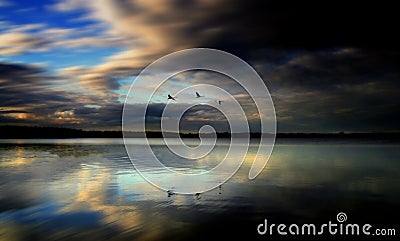 Three Little Birds. Geese migrating for the winter. Stock Photo