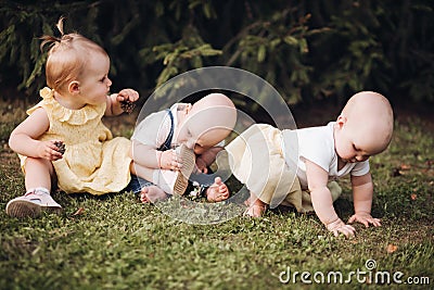 Three little children crawl on a green grass and have fun togehter Stock Photo