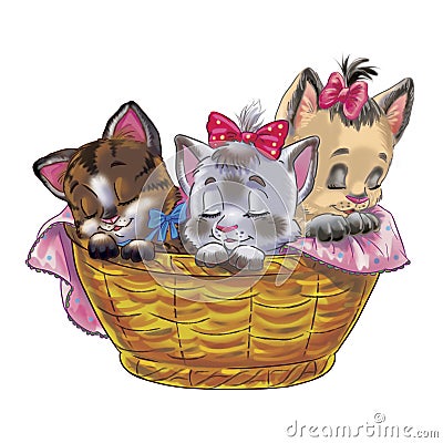 Three little kities in a basket Stock Photo