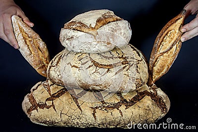 Three Loafs or miches of French sourdough, called as well as Pain de campagne, piled and held by hands on a black background. Stock Photo