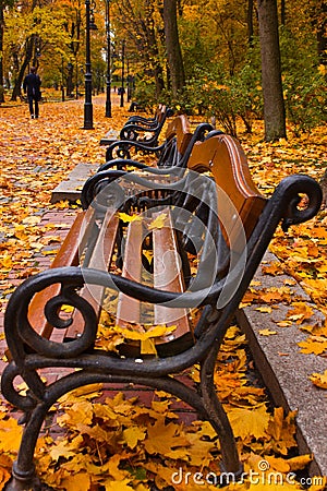 Three lonely benches in the park Stock Photo