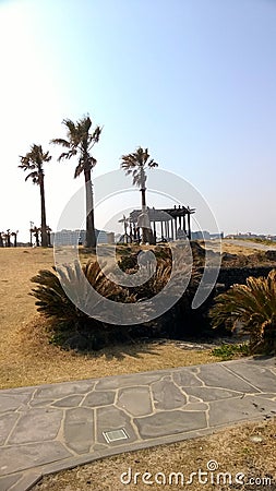 Three lonely palm trees on Jeju island, Korea Stock Photo