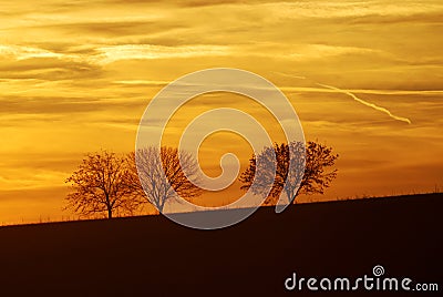 Three lonely trees Stock Photo