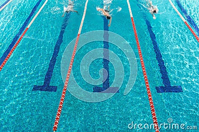 Three male swimmers racing against each other Stock Photo